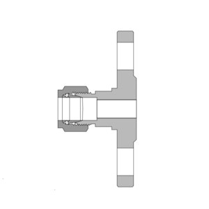 BFLN-12M-F25E-40B1-SS 316 不锈钢, BAISYLOK 法兰转换接头, 12mm Tube管外径 × DN25, EN 突面法兰, 压力等级PN40