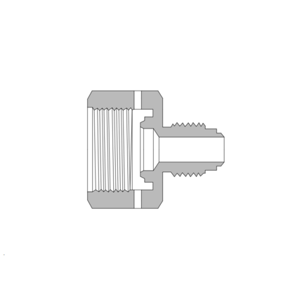 BA-2N-4BCR-SS 316 不锈钢, BCR 金属垫片面密封管接头, BAISYLOK 转换接头本体, 1/4 in. BCR × 1/8 NPT 内螺纹