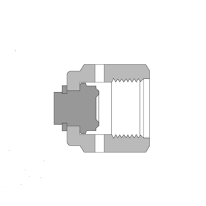 BCP-12BCR-SS 316 不锈钢, BCR 金属垫片面密封管接头, BAISYLOK 堵帽 , 3/4 in. BCR